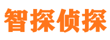 阳西寻人公司